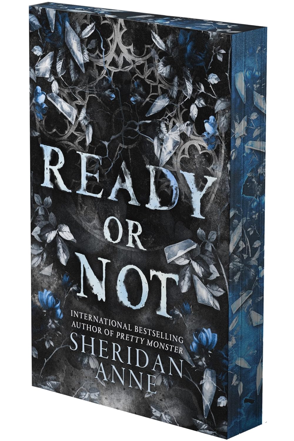 Ready or Not (Paperback) by Sheridan Anne