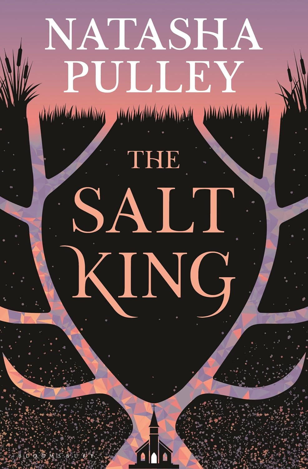 The Salt King (Hardcover) by Natasha Pulley