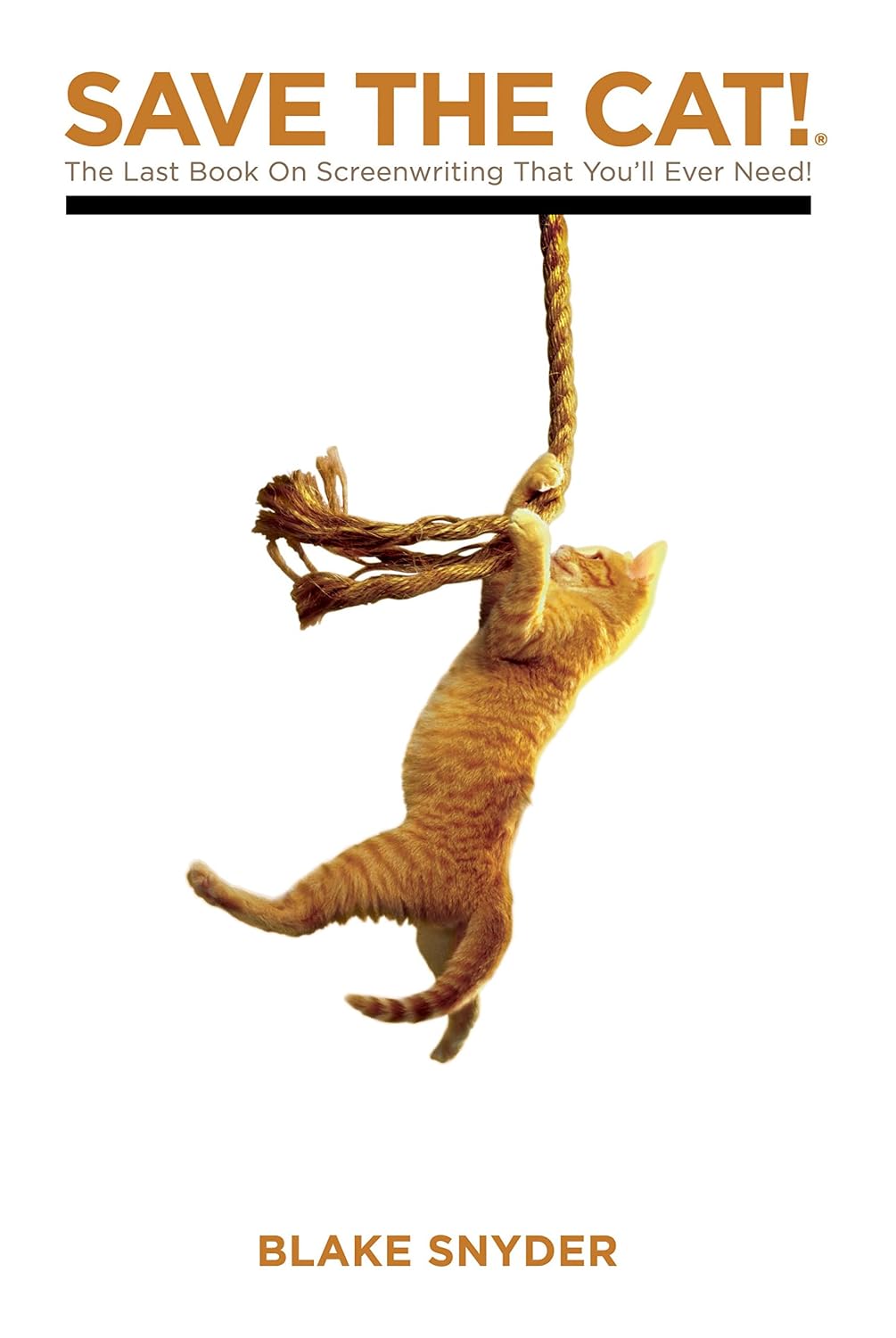 Save the Cat! The Last Book on Screenwriting You'll Ever Need by Blake Snyder