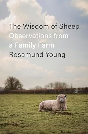 The Wisdom of Sheep by Rosamund Young