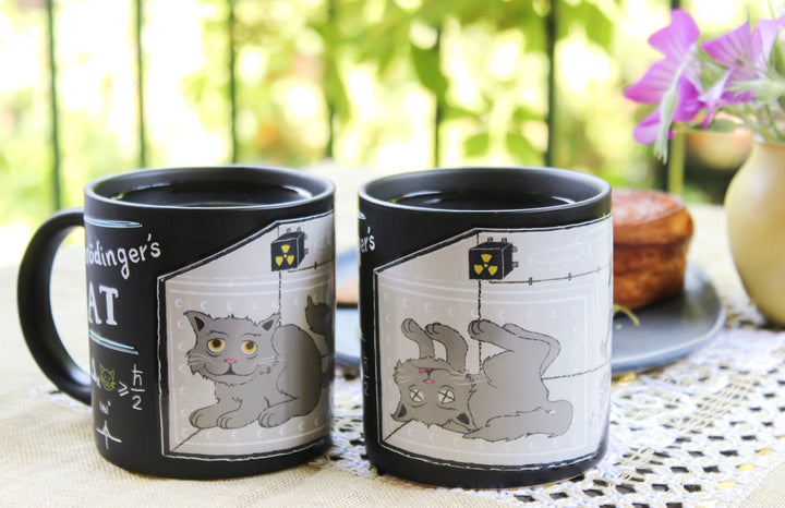 Schrodinger Cat Mug Set