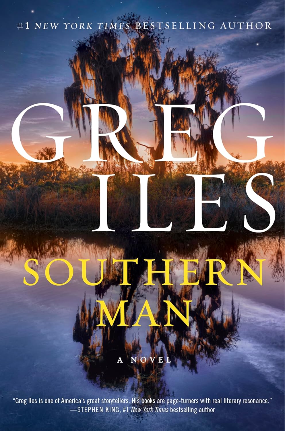Southern Man by Greg Iles (Paperback)