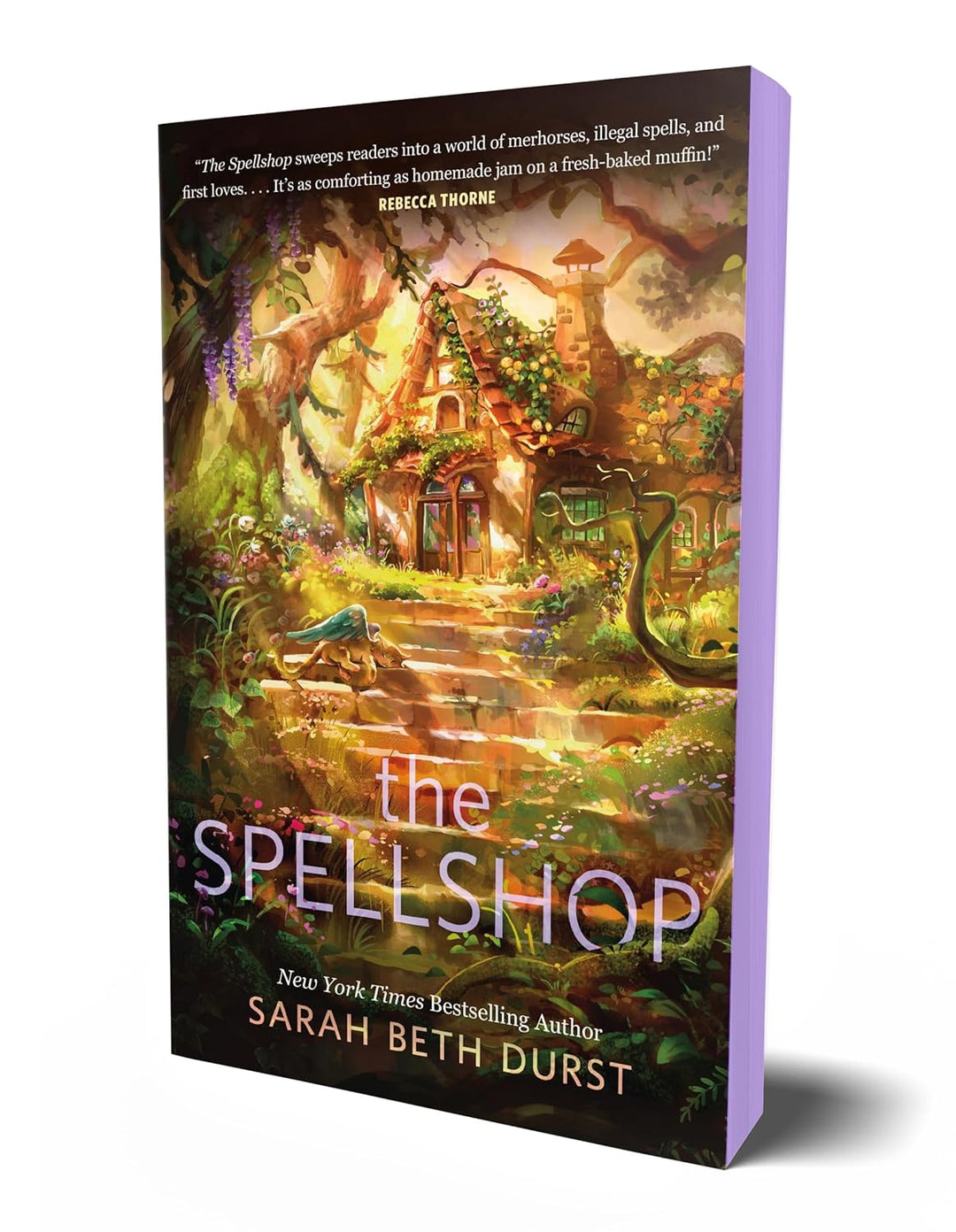 The Spellshop by Sarah Beth Durst (Paperback)