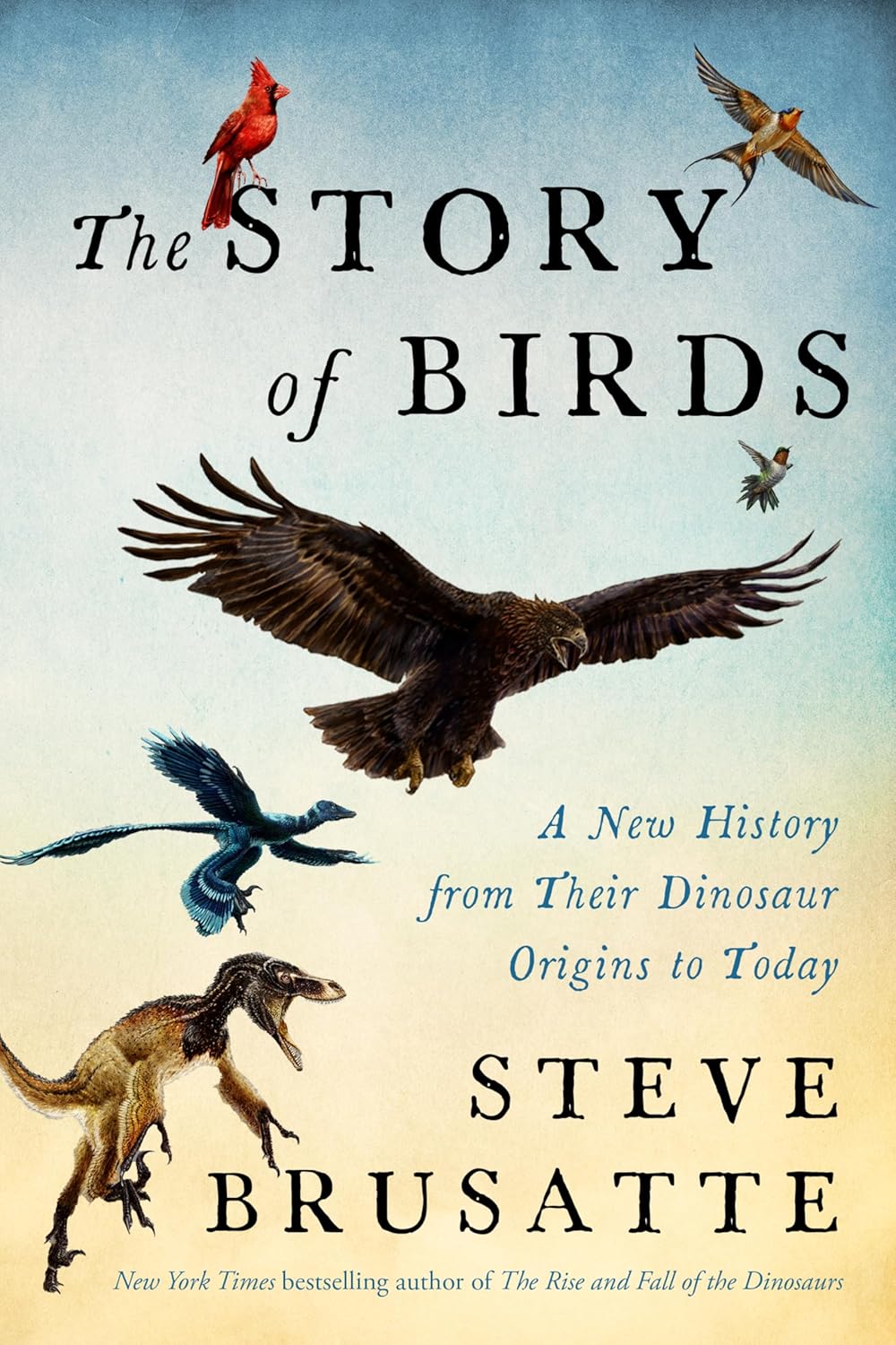 The Story of Birds by Steve Brusatte (Hardcover)