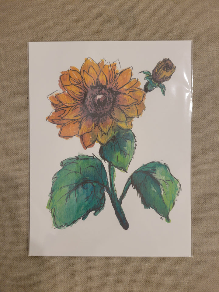 6"x8" Botanical and Insect Prints - Art By AM Collective