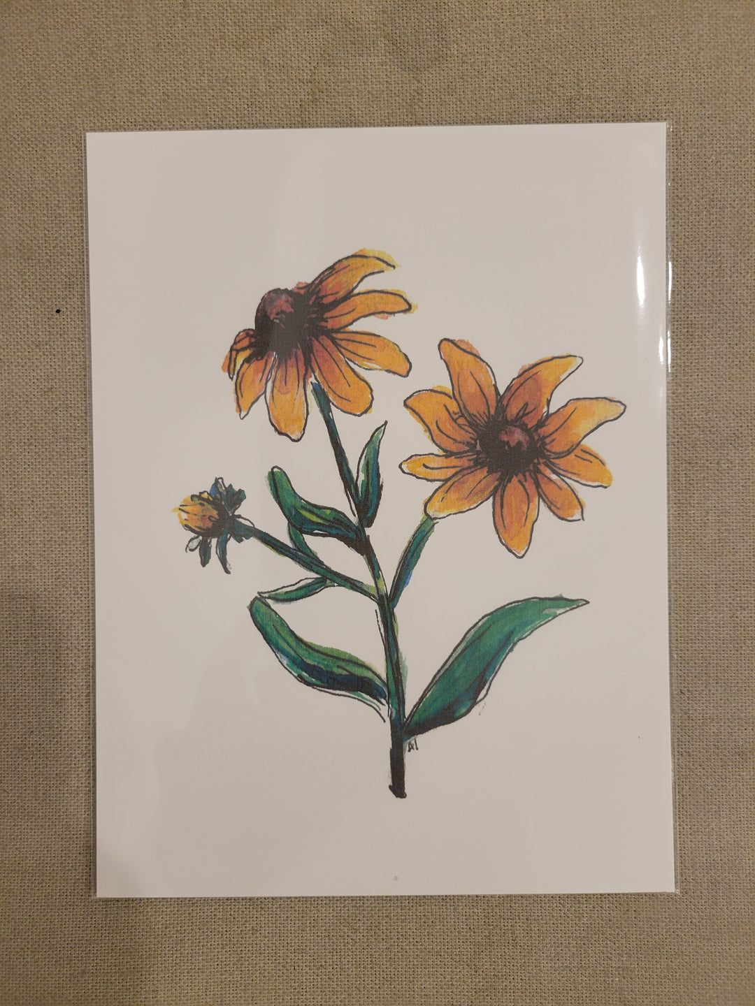 6"x8" Botanical and Insect Prints - Art By AM Collective