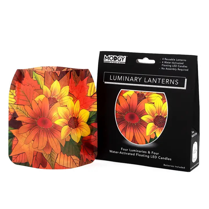 Luminary Lantern - Vinyl