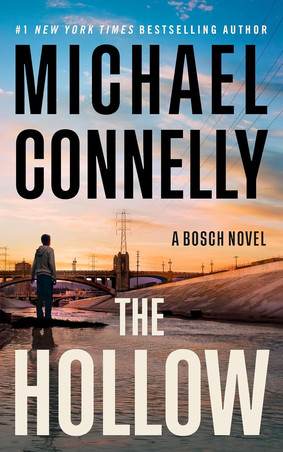 The Hollow: A Harry Bosch Novel (Hardcover) by Michael Connelly