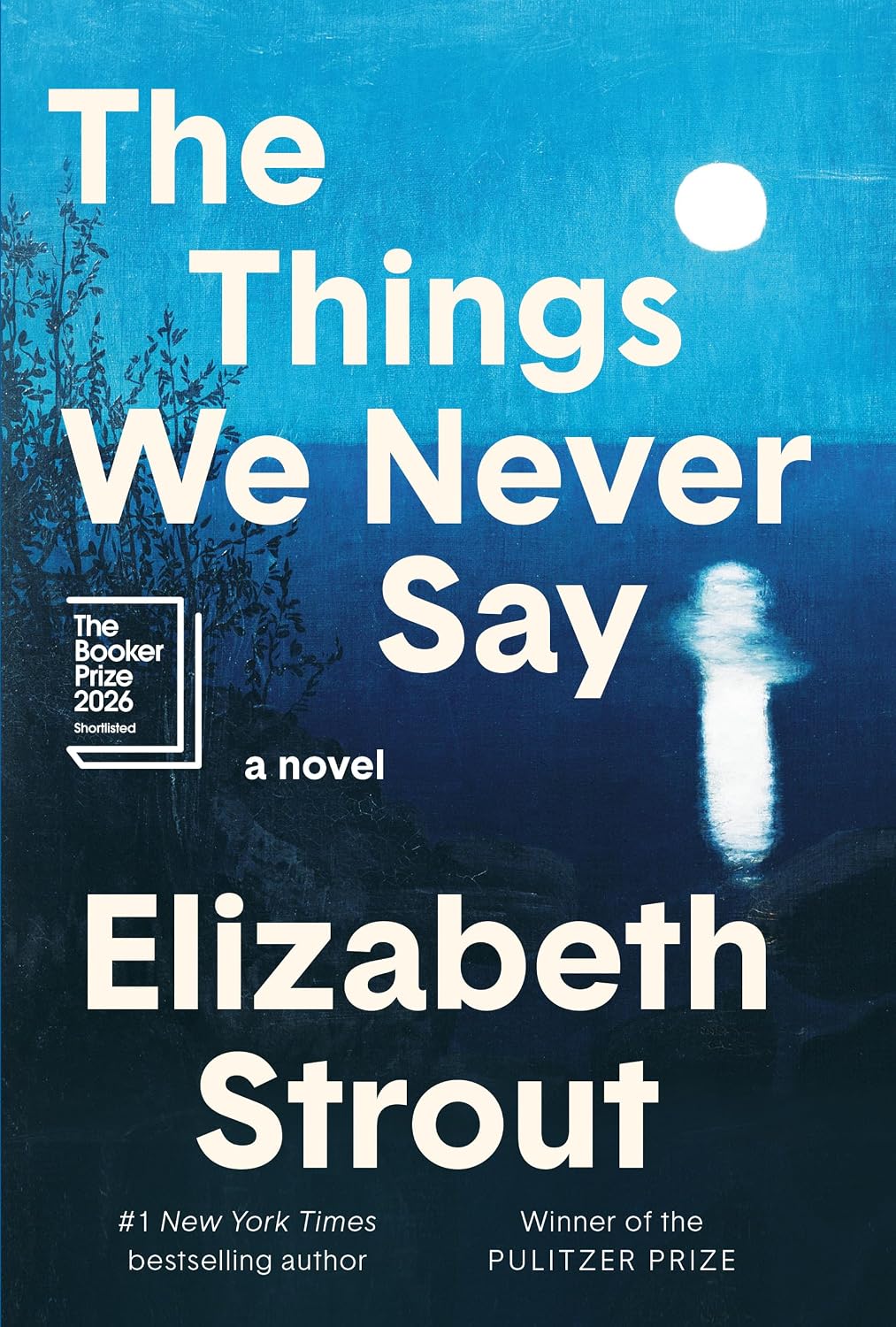 The Things We Never Say (Hardcover) by Elizabeth Strout