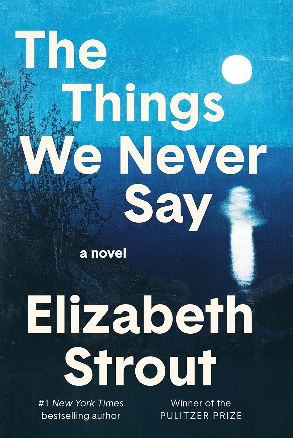 The Things We Never Say (Hardcover) by Elizabeth Strout