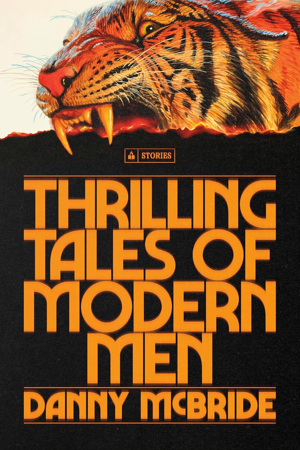 Thrilling Tales of Modern Men (Hardcover) by Danny McBride
