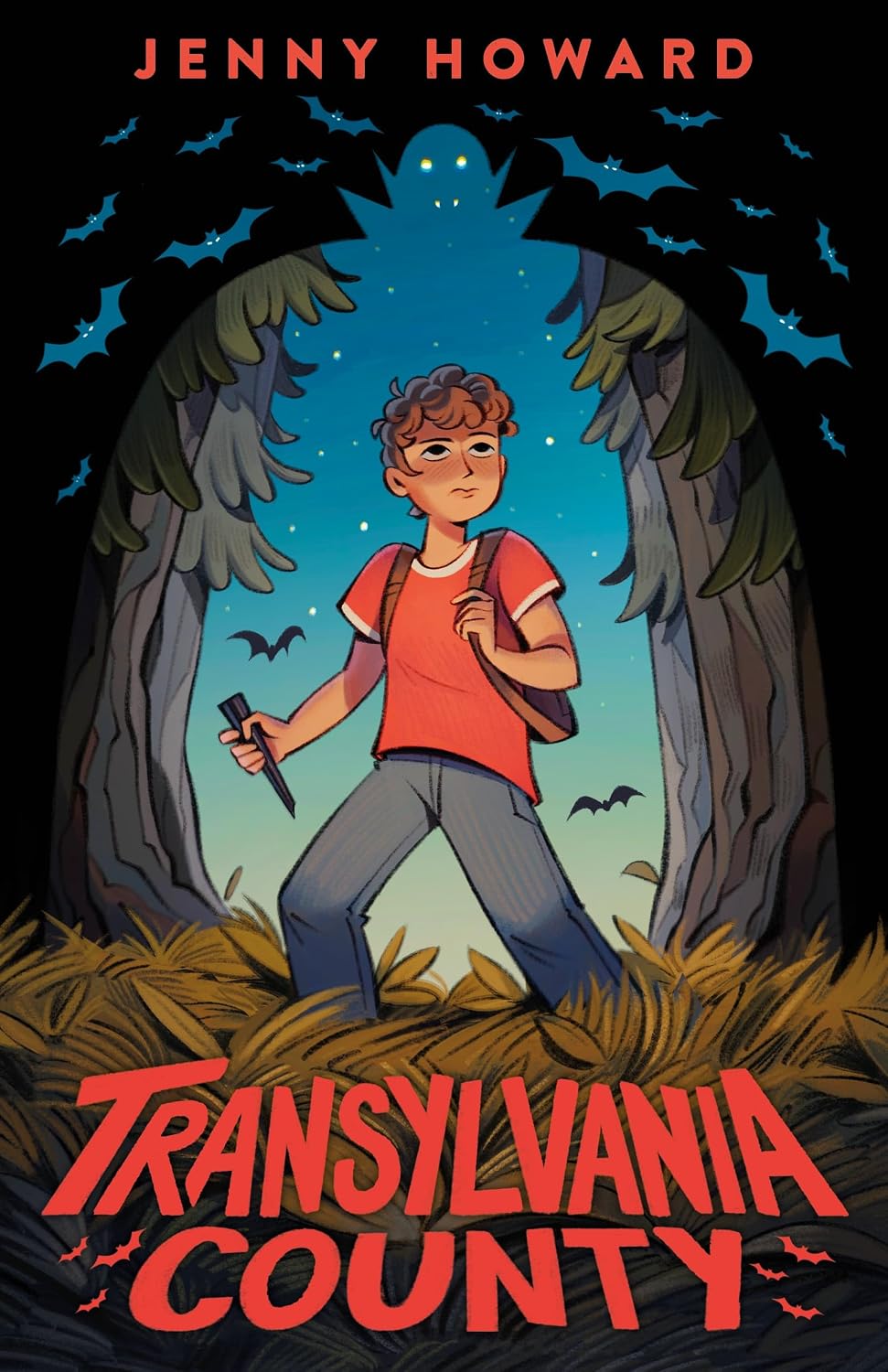 Transylvania County (hardcover) by Jenny Howard