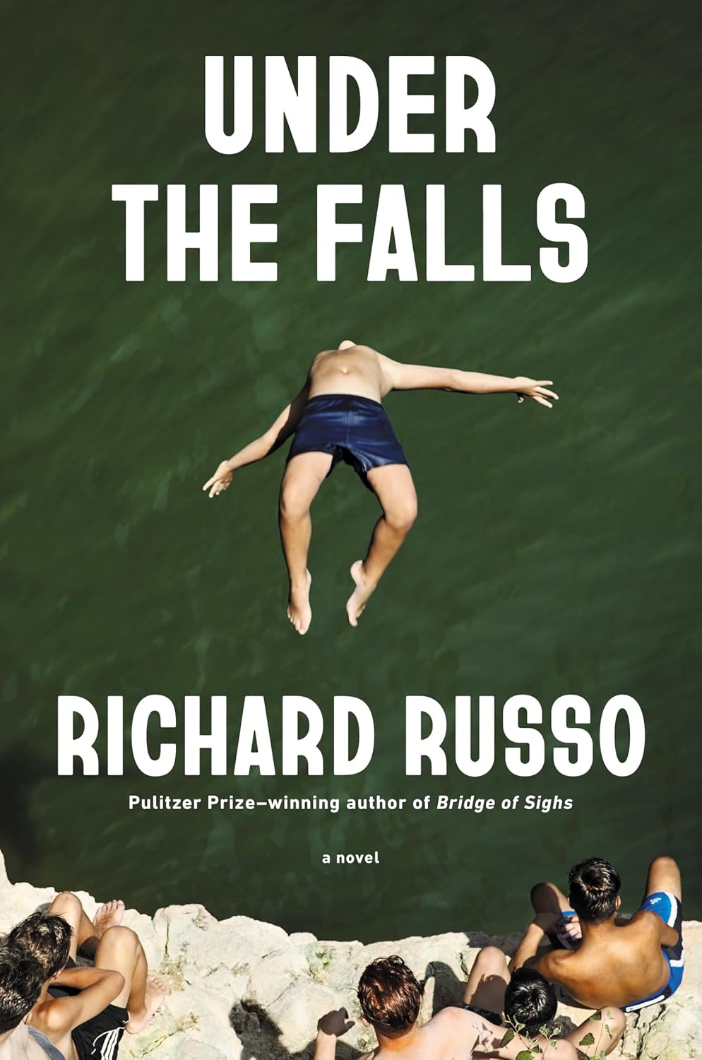 Under the Falls (Hardcover) by Richard Russo