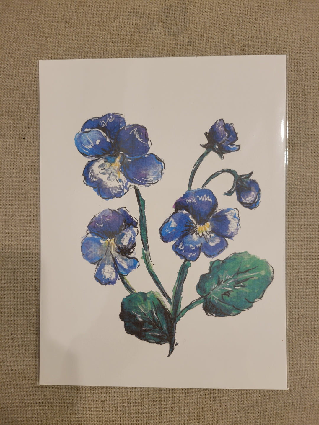 6"x8" Botanical and Insect Prints - Art By AM Collective