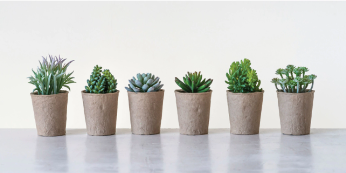 faux succulent white pot Faux Succulent in Paper Pot – South & Pine and Blue Apple Books