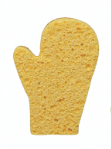 Holiday Sponges - 6 Styles